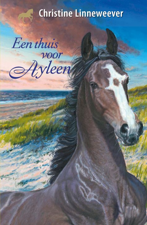 9789020622881 - Gouden paarden - Een thuis voor Ayleen